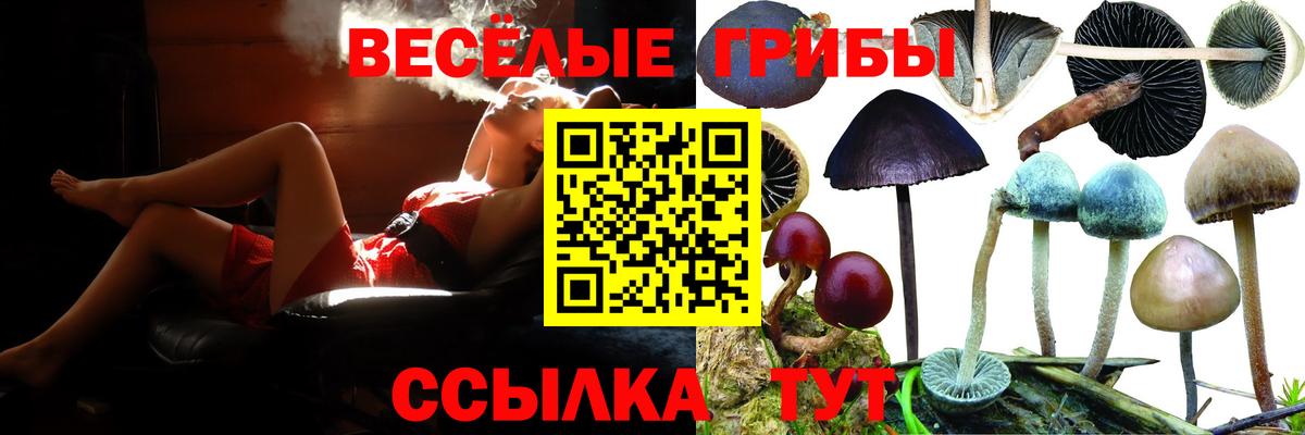 Псилоцибиновые грибы GOLDEN TEACHER Реж